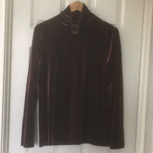 Talbots Velvet Turtleneck in Maroon.
